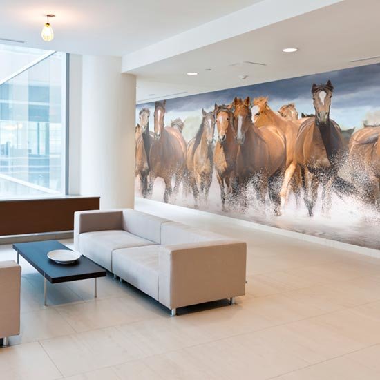 Horse Wall Mural In An Office Lobby