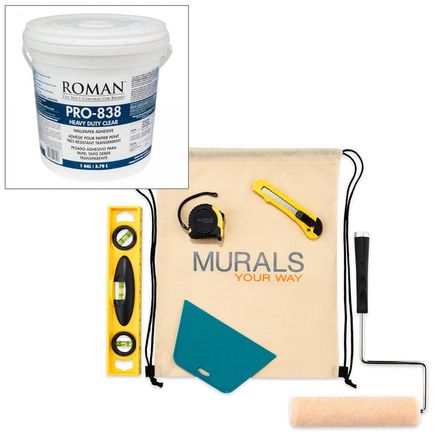 Roman Decorating Products 011301 PRO-838 1G Clear HD Adhesive