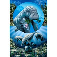 Love Manatee Wall Mural