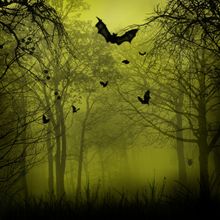 Spooky Forest Wall Mural