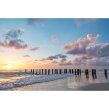 Old Pier Pilings Wall Mural