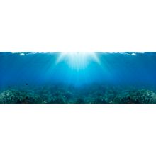 Sunlight Over Coral Reef Wall Mural