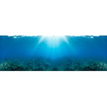 Sunlight Over Coral Reef Wall Mural