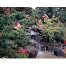 Oriental Garden Wall Mural