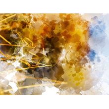 Abstract 0564 Wall Mural