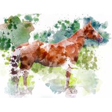 Horse 9344 Wall Mural