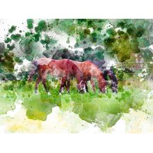 Horse 7436 Wall Mural