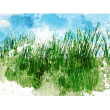Grass 3122 Wall Mural