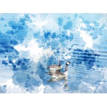 Canadian Geese 2517 Wall Mural
