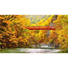 Red Bridge Over Autumn Stream in Jozankei Japan Wall Mural