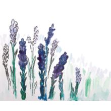 Hand Painted Watercolor Lavender Wall Mural
