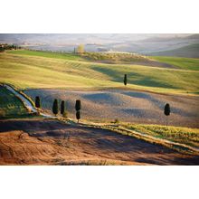 Tuscan Countryside Italian Landscape Wallpaper Mural