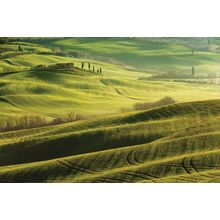 Tuscan Light Wall Mural