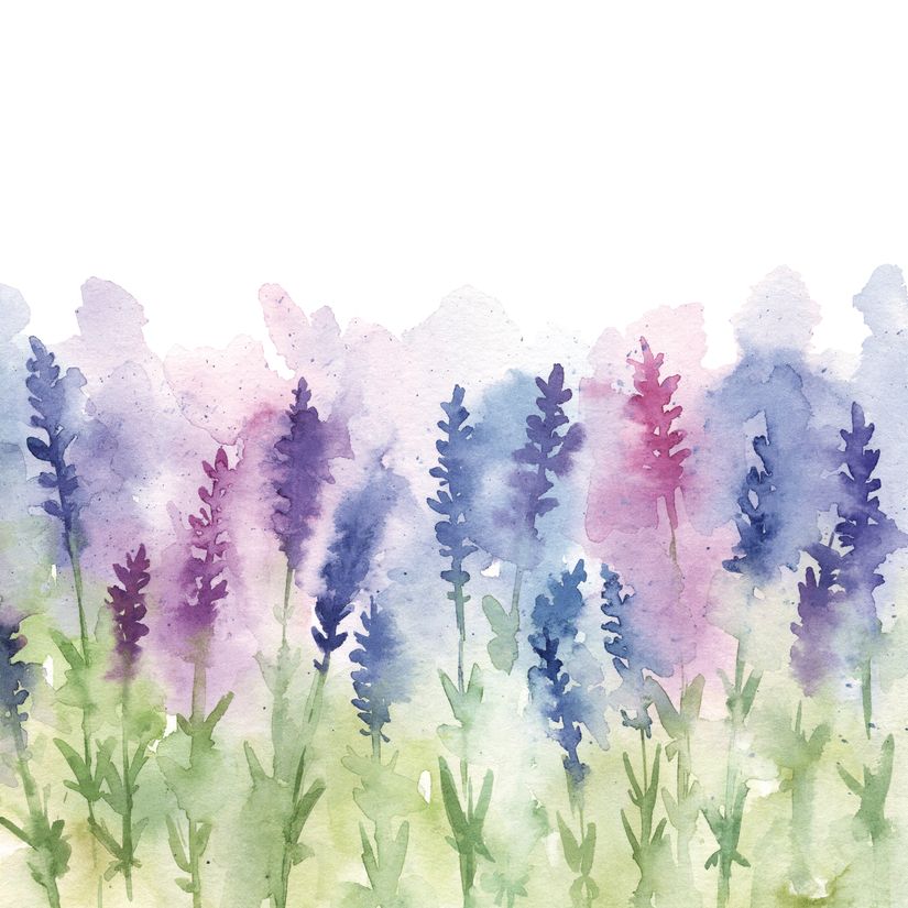 Watercolor-Lavender-Field-Wallpaper-Mural