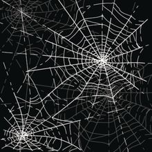 Halloween Spider Web Mural Wallpaper