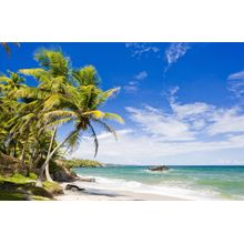 Cumana Bay Beach Wall Mural