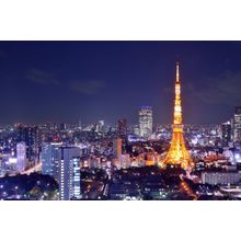 Tokyo Tower Wall Mural