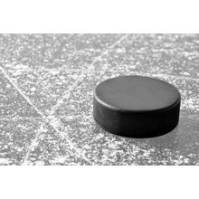 Hockey Puck Drop Wall Mural