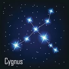 Cygnus Constellation Wall Mural