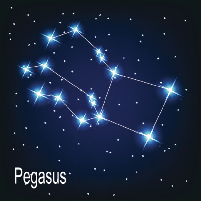 Pegasus Constellation Wall Mural Murals Your Way