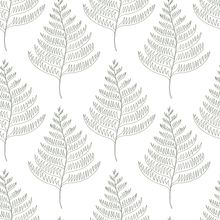 Fern Leaves Pattern Wallpaper