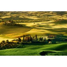 Golden Tuscan Landscape Wall Mural