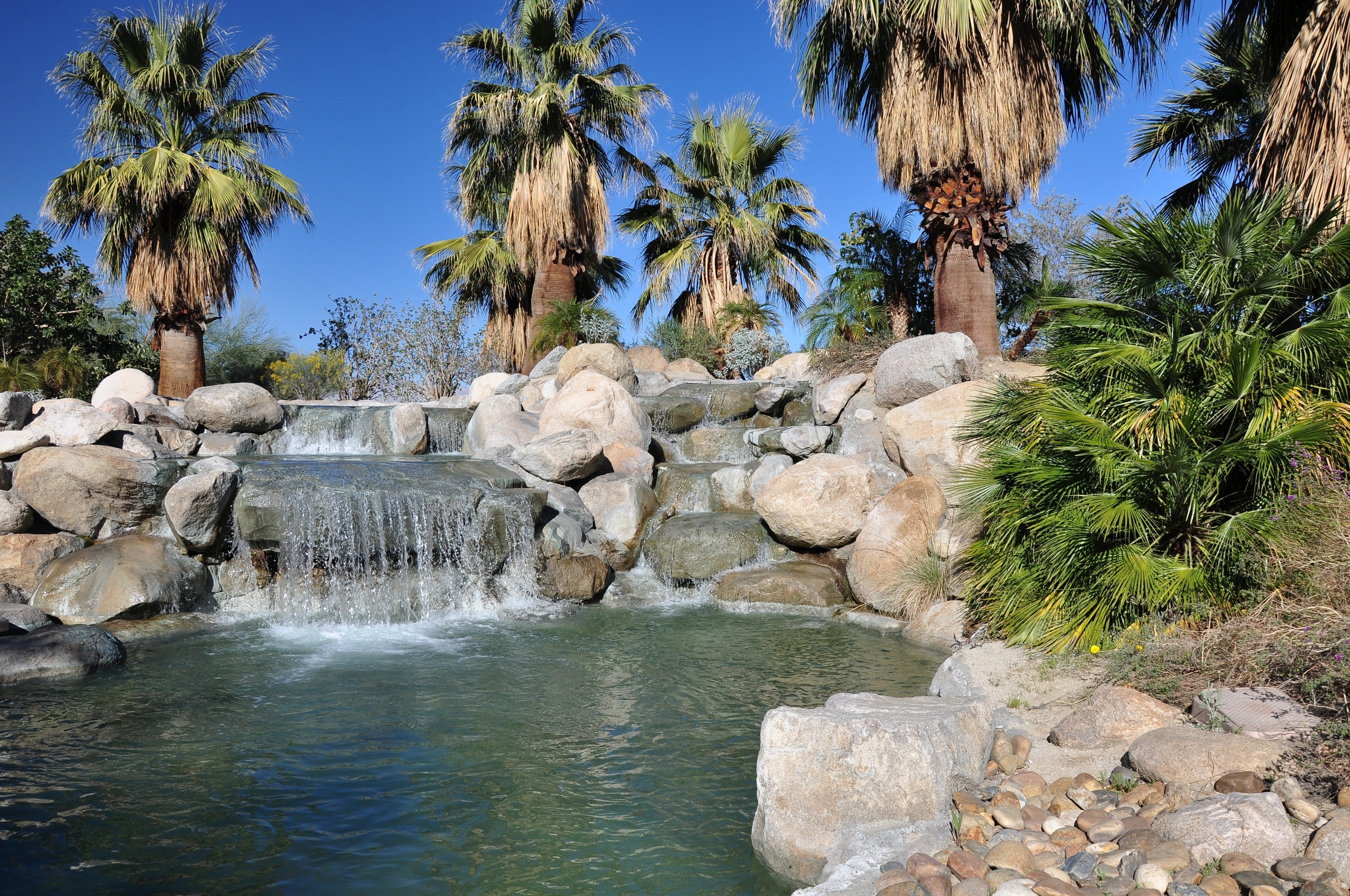Waterfall Surrounded By Palm Trees Wall Mural - Murals Your Way, image size:3200x2125