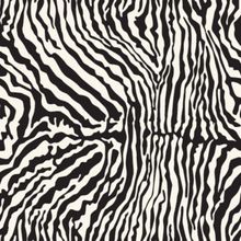 Zebra Fur Pattern Wallpaper
