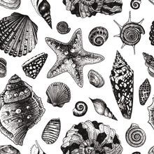 Black & White Seashell Wallpaper