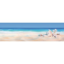 Seashells On Seashore Wall Mural