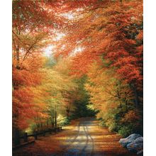 Autumn In New England Wall Mural