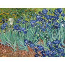 Irises (1889) Wall Mural