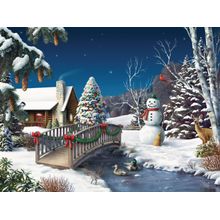 In Winter's Home Wall Mural