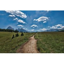 Wildflowers and Hiking Trails in Seiser Alm Wall Mural