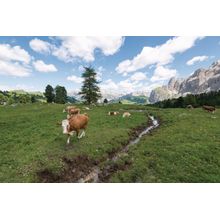 Sella Pass - Italian Dolomites and Countryside Wall Mural