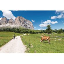 Sella Pass - Path to the Italian Dolomites Wall Mural