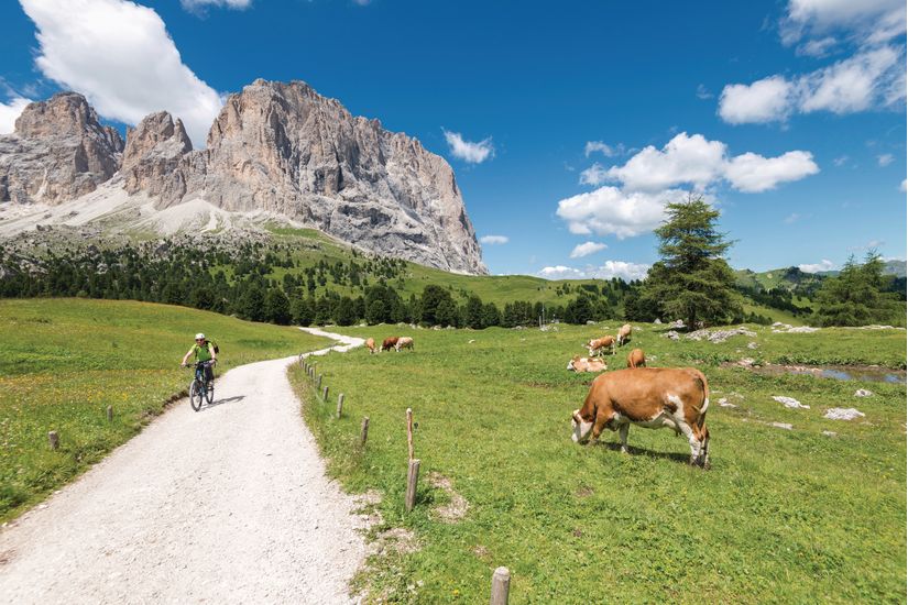 Sella-Pass-Path-to-the-Italian-Dolomites-Wall-Mural