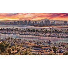 The Colors of San Diego Wall Mural