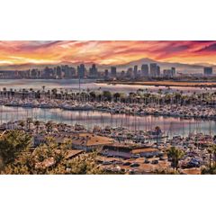 The Colors of San Diego Wall Mural