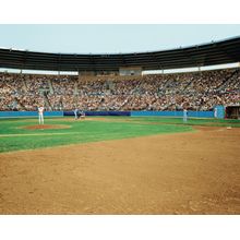 Play Ball Wall Mural