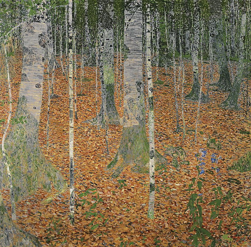 The-Birch-Wood-Mural-Wallpaper