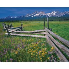 Rail Fence Wall Mural