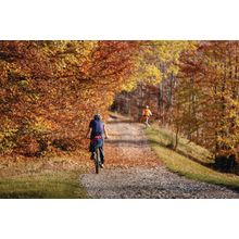 Mountain Biker in Autumn Forest Wall Mural