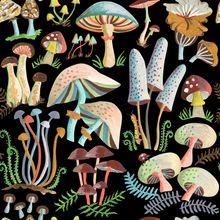 Midnight Mushroom Pattern Wallpaper