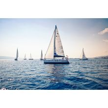 Sailing Ship Yachts With White Sails Wall Mural