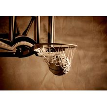 Basketball Shot Mural Wallpaper