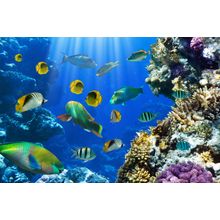 Tropical Menagerie Wall Mural