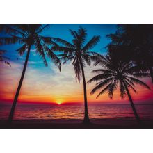 Fuchsia Sunset Wall Mural