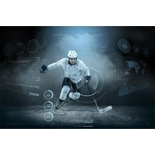 Hockey Player Statistics Mural Wallpaper