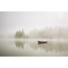 Morning Mist Wall Mural